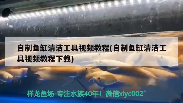 魚缸組裝怎么安裝圖解圖片大全集（魚缸組裝怎么安裝圖解圖片大全集高清）