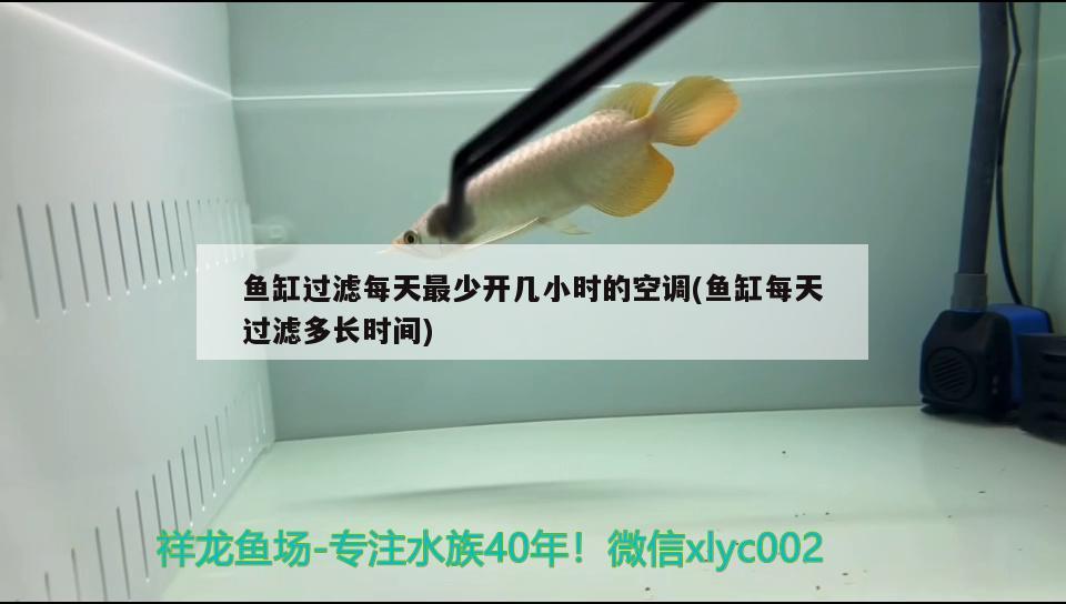 魚缸過濾每天最少開幾小時的空調(diào)(魚缸每天過濾多長時間)