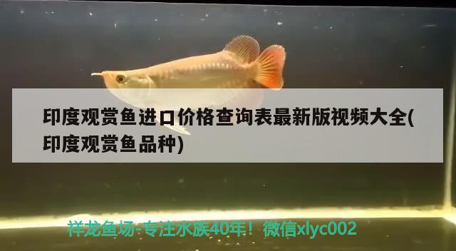 曼龍可以和什么小型魚混養(yǎng)啊，燕子魚和白瑪麗能不能一起樣啊