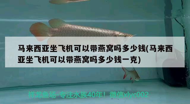 長治觀賞魚市場須子斷一根多久能長出來長出來能一樣長么？