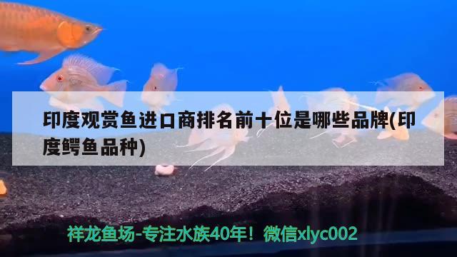 印度觀賞魚進(jìn)口商排名前十位是哪些品牌(印度鱷魚品種) 觀賞魚進(jìn)出口