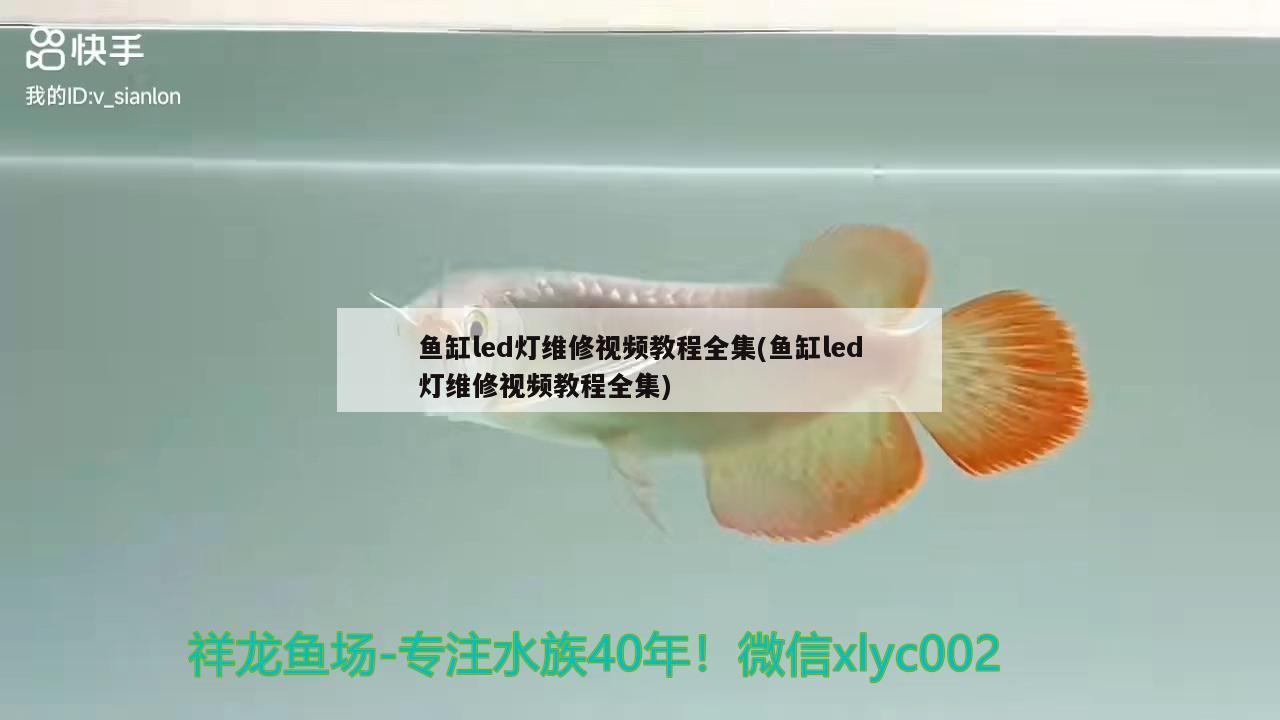 魚缸led燈維修視頻教程全集(魚缸led燈維修視頻教程全集) 月光鴨嘴魚苗