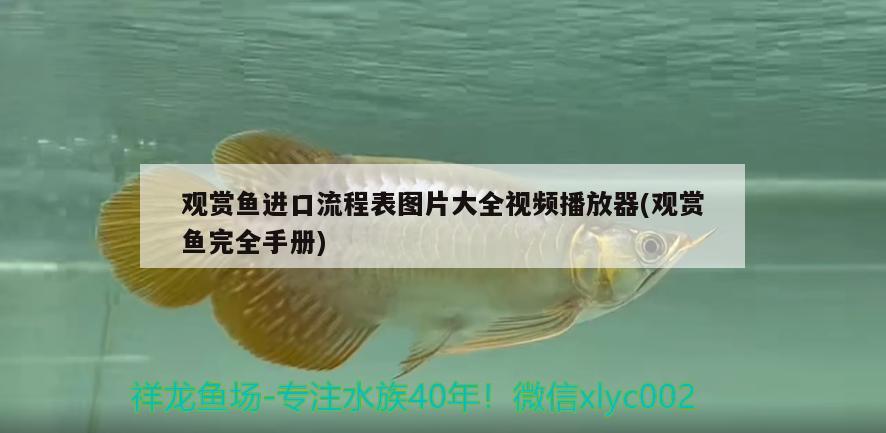 觀賞魚進(jìn)口流程表圖片大全視頻播放器(觀賞魚完全手冊(cè))