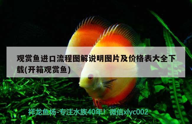 觀賞魚進口流程圖解說明圖片及價格表大全下載(開箱觀賞魚) 觀賞魚進出口