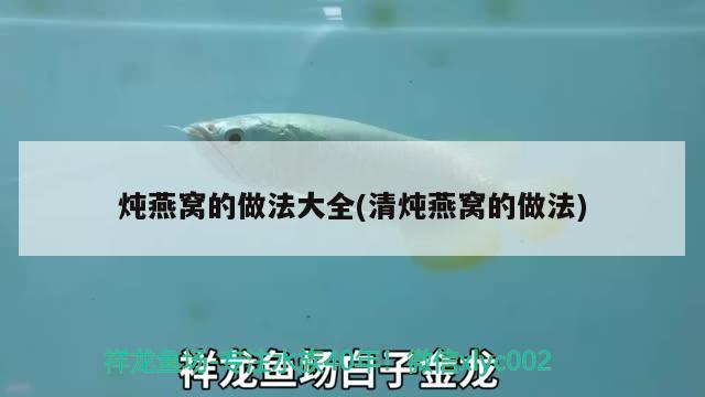 湛江魚缸修理電話號(hào)碼查詢電話是多少(湛江魚缸定制)