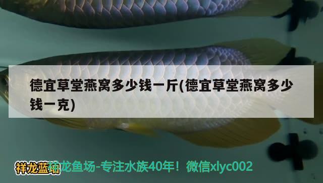 德宜草堂燕窩多少錢一斤(德宜草堂燕窩多少錢一克) 馬來西亞燕窩