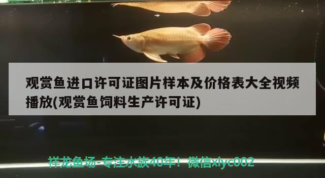 觀賞魚進(jìn)口許可證圖片樣本及價(jià)格表大全視頻播放(觀賞魚飼料生產(chǎn)許可證)