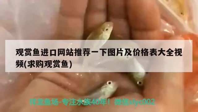 觀賞魚進口網站推薦一下圖片及價格表大全視頻(求購觀賞魚) 觀賞魚進出口