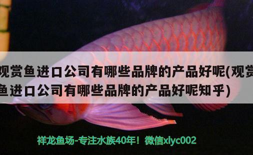 觀賞魚進口公司有哪些品牌的產(chǎn)品好呢(觀賞魚進口公司有哪些品牌的產(chǎn)品好呢知乎) 觀賞魚進出口