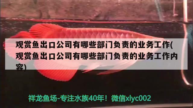 觀賞魚(yú)出口公司有哪些部門(mén)負(fù)責(zé)的業(yè)務(wù)工作(觀賞魚(yú)出口公司有哪些部門(mén)負(fù)責(zé)的業(yè)務(wù)工作內(nèi)容) 觀賞魚(yú)進(jìn)出口