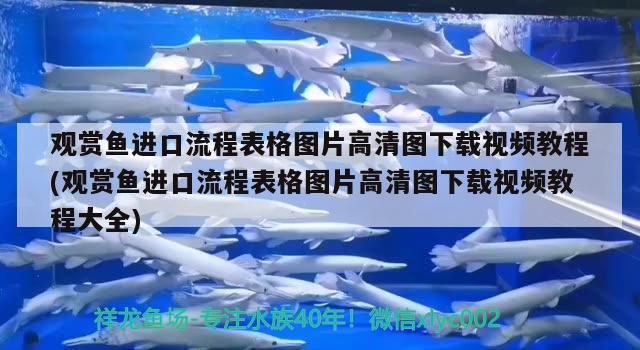 觀賞魚(yú)進(jìn)口流程表格圖片高清圖下載視頻教程(觀賞魚(yú)進(jìn)口流程表格圖片高清圖下載視頻教程大全) 觀賞魚(yú)進(jìn)出口