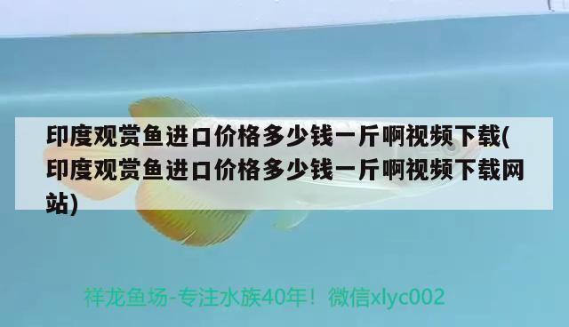 興平金龍魚招聘網(wǎng)（興平金龍魚廠待遇咋樣） 稀有金龍魚 第3張