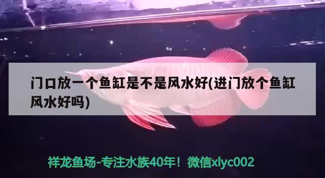 門口放一個魚缸是不是風水好(進門放個魚缸風水好嗎)