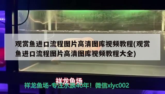 澳大利亞漁場的成因（澳大利亞漁場的成因分析） 網(wǎng)上購買觀賞魚