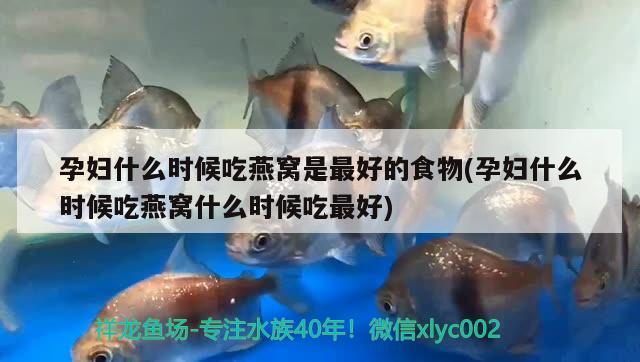 金龍魚多大能繁殖:地圖螺繁殖快嗎 龍魚批發(fā) 第3張