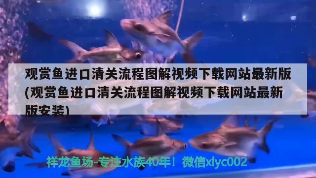 金龍魚多大能繁殖:地圖螺繁殖快嗎 龍魚批發(fā) 第2張