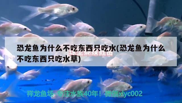 大魚缸安裝流程圖視頻：大魚缸的安裝方法