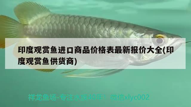 印度觀賞魚進(jìn)口商品價(jià)格表最新報(bào)價(jià)大全(印度觀賞魚供貨商) 觀賞魚進(jìn)出口