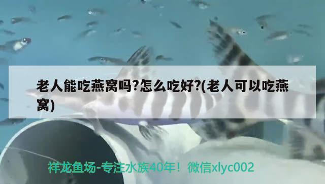 江津金龍魚怎么樣好吃嗎視頻教程：金龍魚重慶