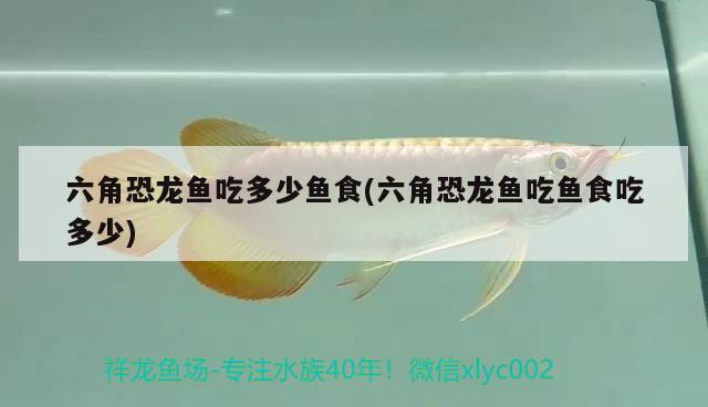 海南魚(yú)缸定做廠家有沒(méi)有推薦的，在你家鄉(xiāng)當(dāng)?shù)卦l(fā)生過(guò)轟動(dòng)一時(shí)的奇案，是懸案嗎