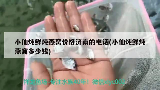 小仙燉鮮燉燕窩價(jià)格濟(jì)南的電話(小仙燉鮮燉燕窩多少錢) 馬來(lái)西亞燕窩