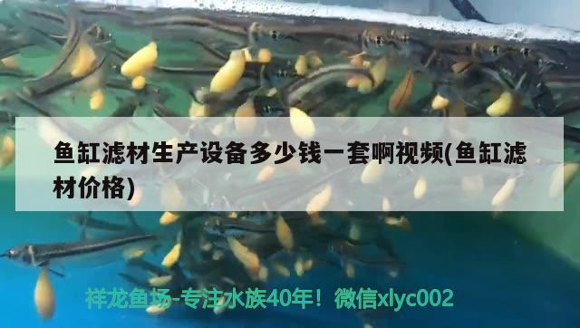 魚缸濾材生產(chǎn)設(shè)備多少錢一套啊視頻(魚缸濾材價(jià)格)