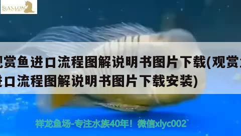 觀賞魚進口流程圖解說明書圖片下載(觀賞魚進口流程圖解說明書圖片下載安裝)