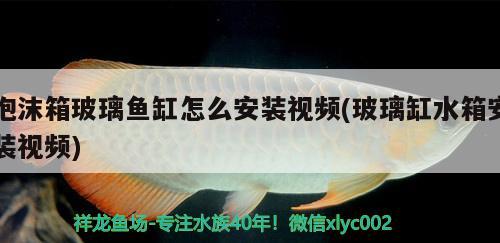 泡沫箱玻璃魚缸怎么安裝視頻(玻璃缸水箱安裝視頻) 水族用品 第2張