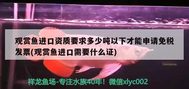 搬家魚缸里面放幾條魚（懷孕搬家有忌諱的嗎 孕婦搬家有什么忌諱嗎） 福滿鉆魚 第1張