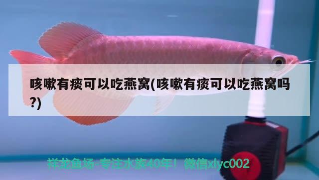 ?？谀睦镔u魚缸的多?。ê？谧畲蟮挠^賞魚市場(chǎng)）