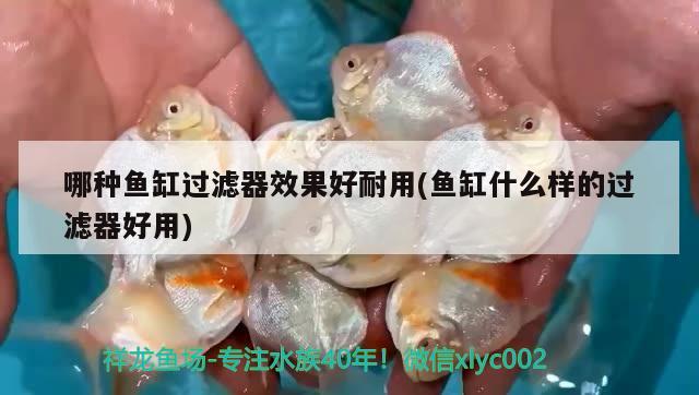 哪種魚缸過濾器效果好耐用(魚缸什么樣的過濾器好用) 觀賞蝦蟹等飼料