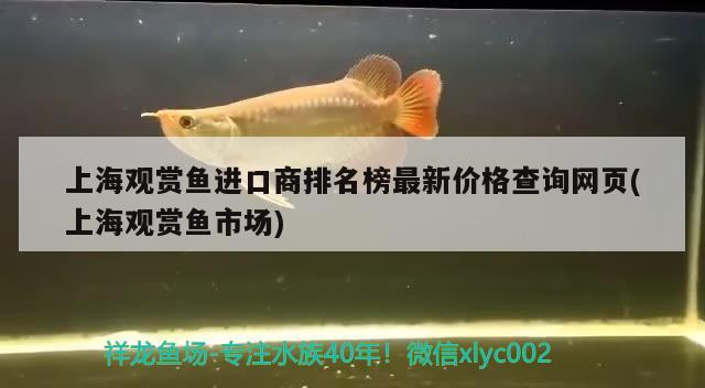 上海觀賞魚進(jìn)口商排名榜最新價(jià)格查詢網(wǎng)頁(上海觀賞魚市場) 觀賞魚進(jìn)出口