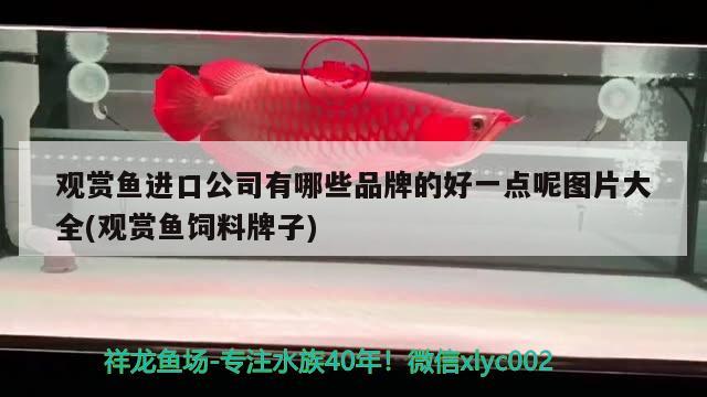 不銹鋼框架魚缸怎么跟玻璃粘接起來（不銹鋼板大魚缸） 魚缸清潔用具 第2張