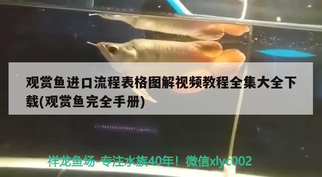 觀賞魚進口流程表格圖解視頻教程全集大全下載(觀賞魚完全手冊) 觀賞魚進出口