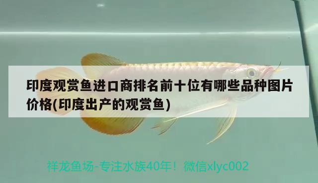 印度觀賞魚進(jìn)口商排名前十位有哪些品種圖片價(jià)格(印度出產(chǎn)的觀賞魚) 觀賞魚進(jìn)出口