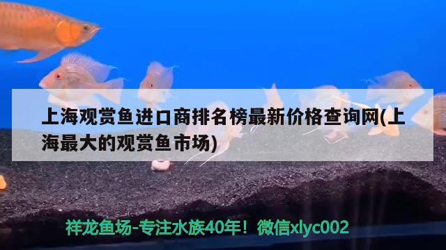 上海觀賞魚進(jìn)口商排名榜最新價(jià)格查詢網(wǎng)(上海最大的觀賞魚市場) 觀賞魚進(jìn)出口