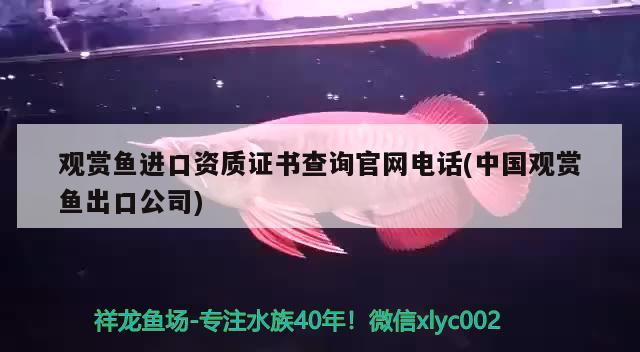 觀賞魚進(jìn)口資質(zhì)證書查詢官網(wǎng)電話(中國(guó)觀賞魚出口公司)