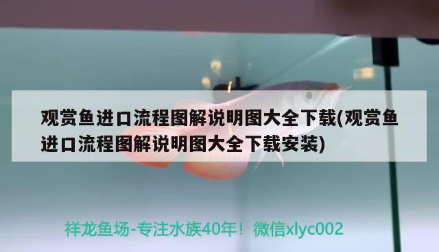 素倪三色胡蘿卜唇膏是正品嗎，黑鉆豐盈三色口紅安全嗎 觀賞魚 第1張