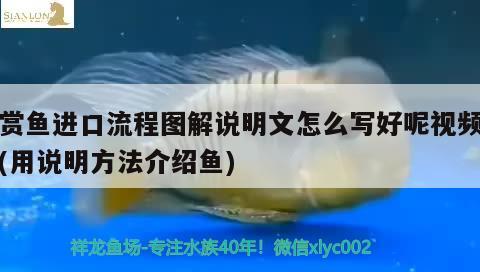 老魚匠插排（老魚匠插排怎么鏈接） 老魚匠 第3張