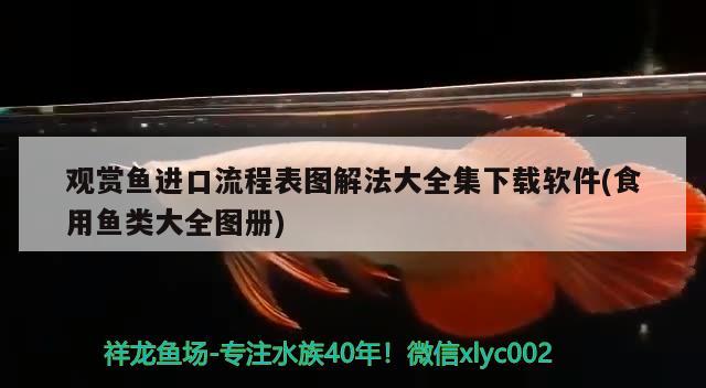 觀賞魚進口流程表圖解法大全集下載軟件(食用魚類大全圖冊) 觀賞魚進出口