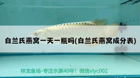 龍魚與虎魚混養(yǎng)有什么意義嗎龍魚與虎魚混養(yǎng)有什么意義嗎（龍魚與虎魚混養(yǎng)有什么意義嗎） 虎魚百科 第1張