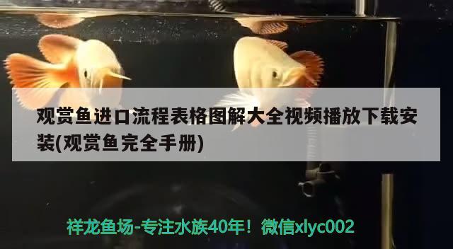 觀賞魚進口流程表格圖解大全視頻播放下載安裝(觀賞魚完全手冊) 觀賞魚進出口