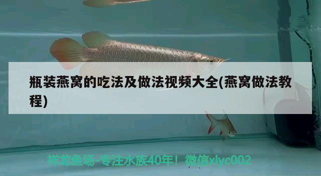 花龍是啥魚 和尚魚 第2張