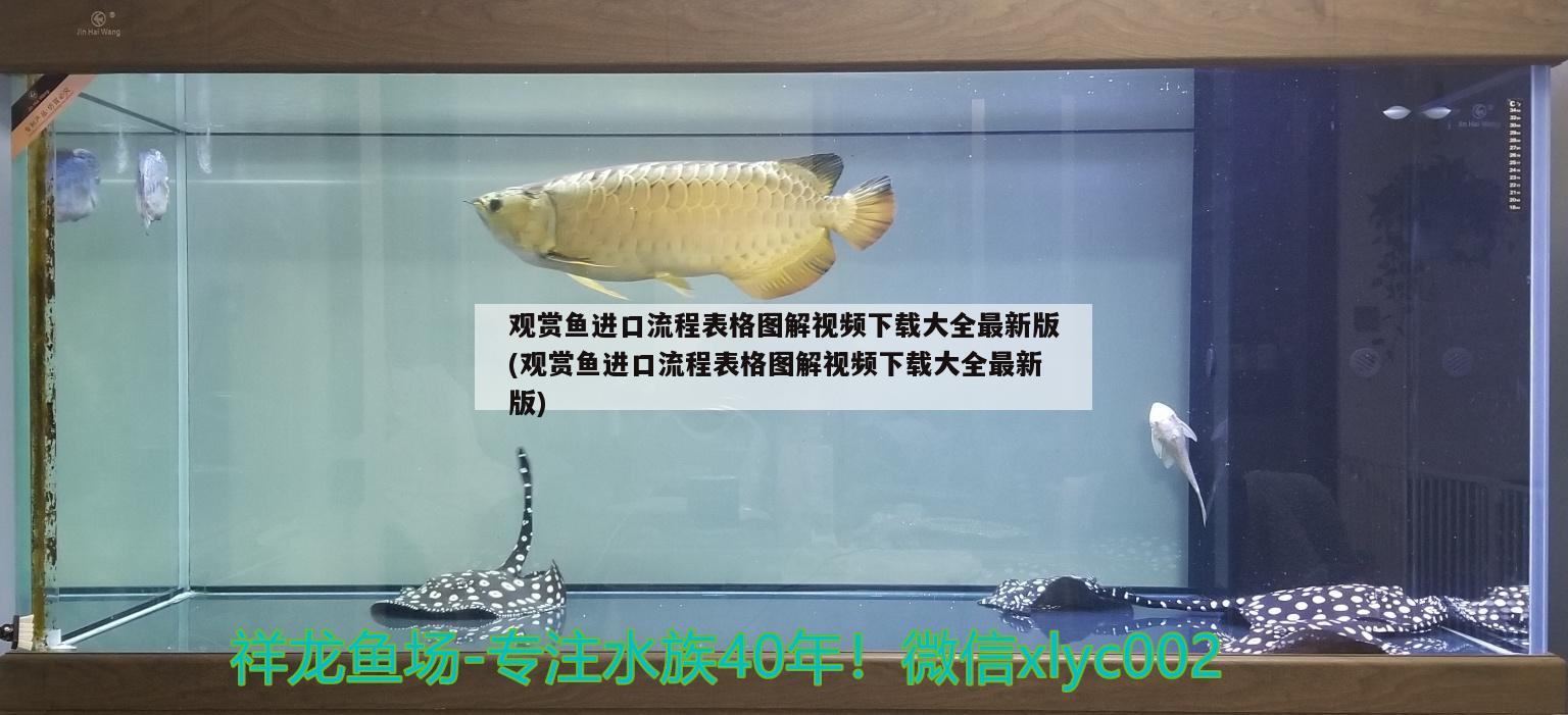 觀賞魚(yú)進(jìn)口流程表格圖解視頻下載大全最新版(觀賞魚(yú)進(jìn)口流程表格圖解視頻下載大全最新版) 觀賞魚(yú)進(jìn)出口