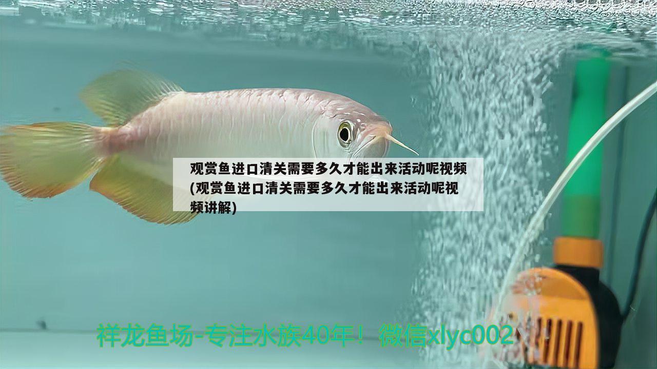 泰州金龍魚集團(tuán)公司招聘信息詳細(xì)介紹|泰州金龍魚集團(tuán)公司招聘信息詳細(xì)介紹，泰州金龍魚集團(tuán)公司招聘信息最新網(wǎng)站