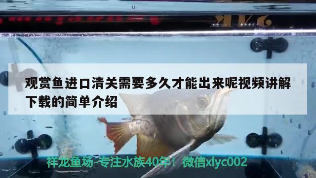 觀賞魚進口清關需要多久才能出來呢視頻講解下載的簡單介紹 觀賞魚進出口