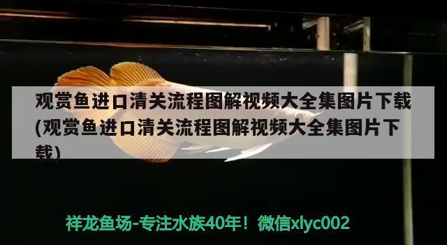 魚缸玻璃在哪里買好呢安全：魚缸玻璃那樣的好