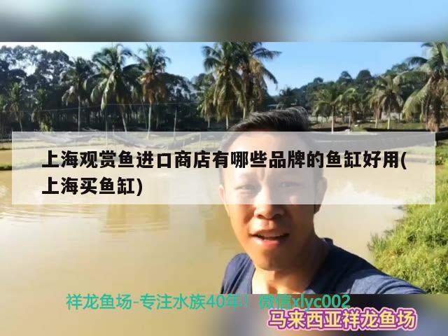 老孔雀魚生仔 前兆，孔雀魚生仔要生多長時間