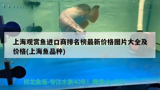 上海觀賞魚進(jìn)口商排名榜最新價(jià)格圖片大全及價(jià)格(上海魚品種) 觀賞魚進(jìn)出口