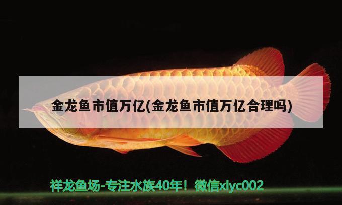 金龍魚市值萬億(金龍魚市值萬億合理嗎) 除藻劑